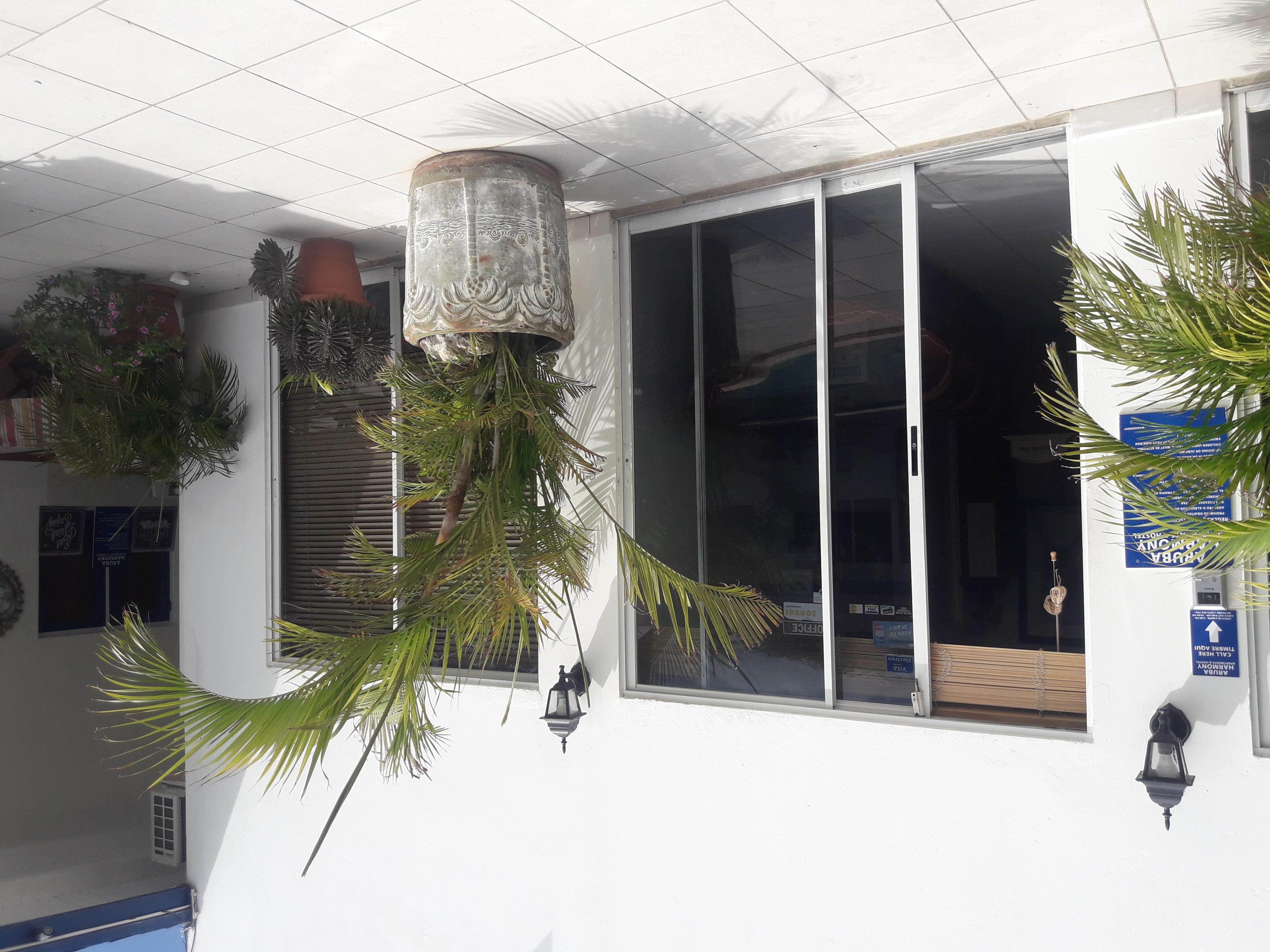Palmita Hotel Hostel Oranjestad Exterior photo